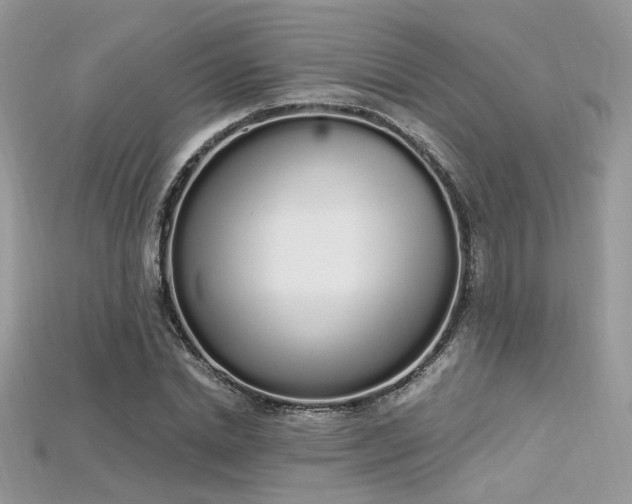 X0000115710830200911121423