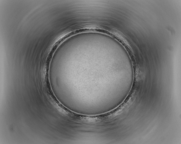 X0000115710831200911121423