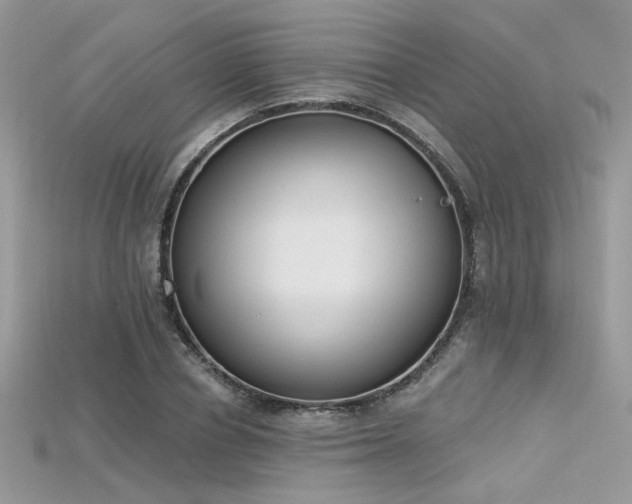 X0000115710834200911121423