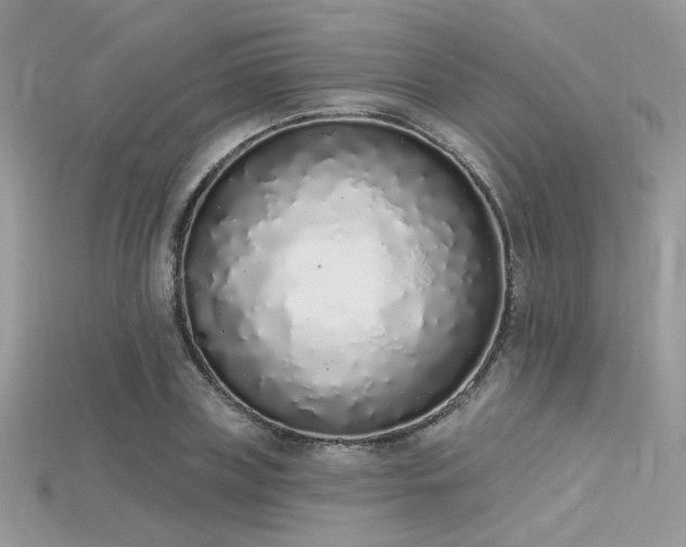 X0000115710835200911121423