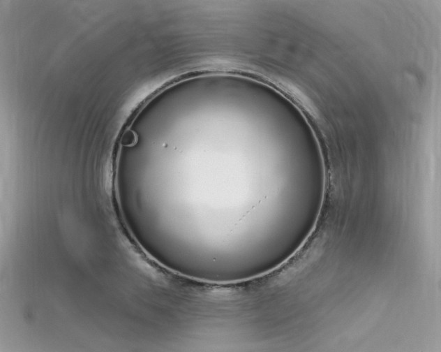 X0000115710839200911121424