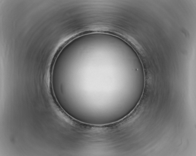 X0000115710840200911121424