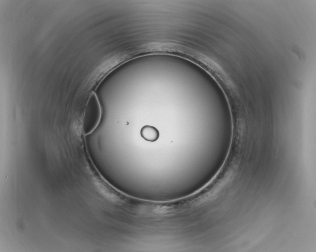 X0000115710841200911121424