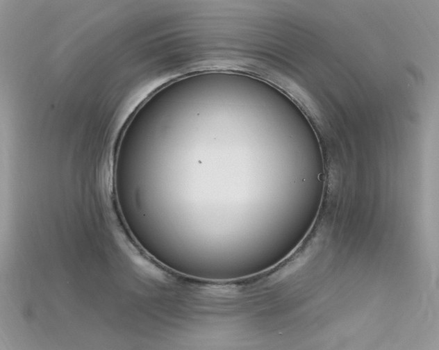 X0000115710844200911121424