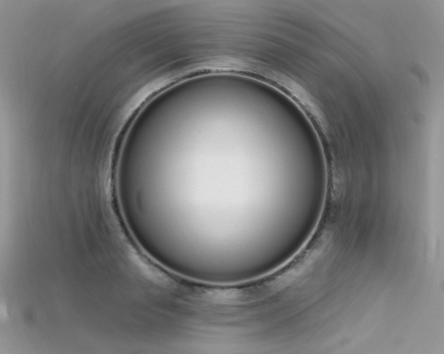 X0000115710845200911121424