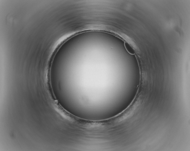 X0000115710846200911121424