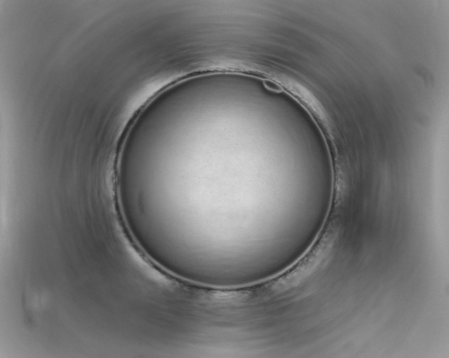 X0000115710847200911121424