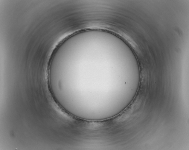 X0000115710848200911121424