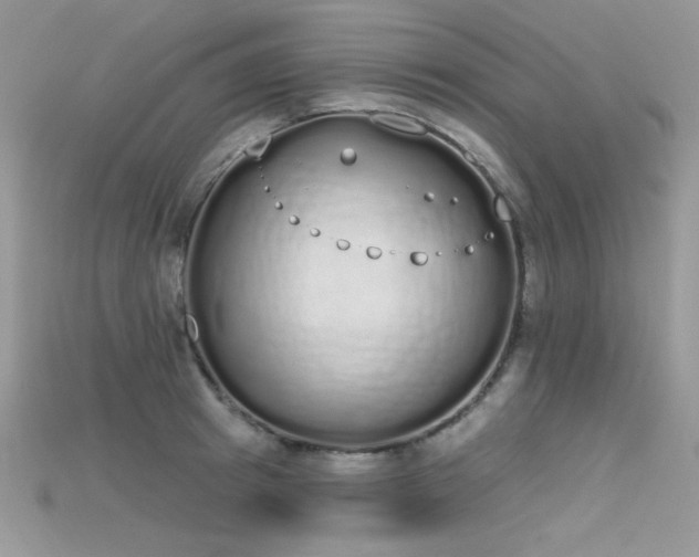 X0000115710849200911121424