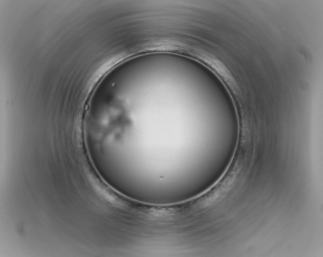 X0000115710850200911121424