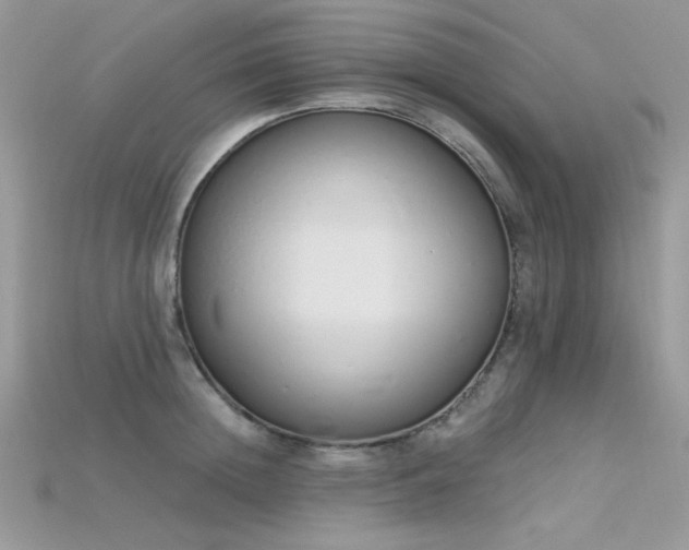 X0000115710852200911121424