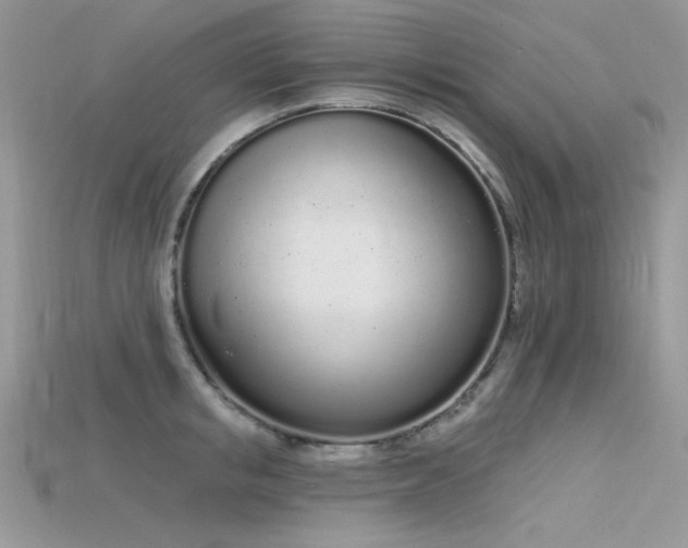 X0000115710853200911121424