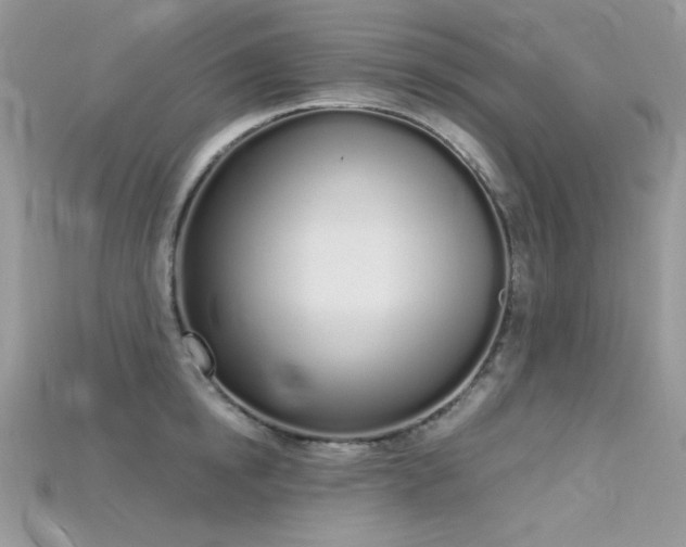 X0000115710854200911121424