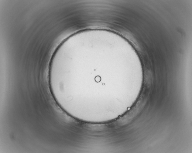 X0000115710856200911121424