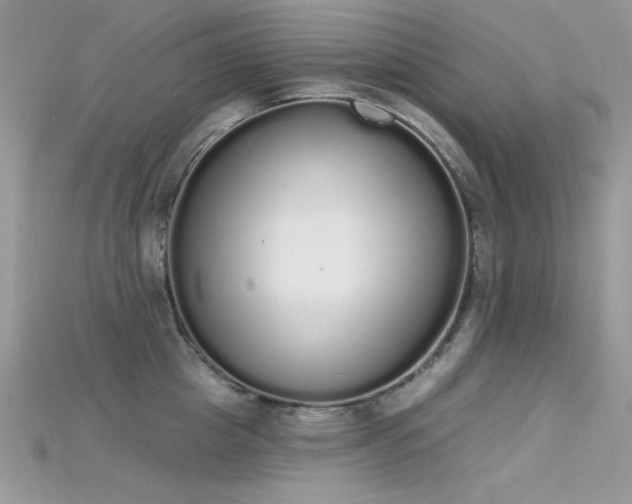 X0000115710857200911121424