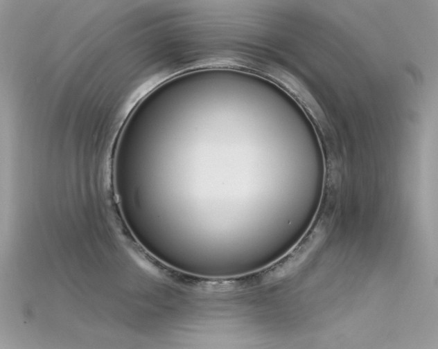 X0000115710858200911121424