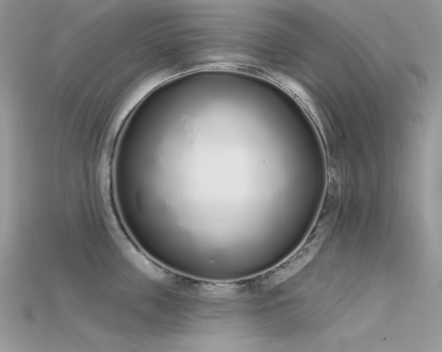 X0000115710859200911121424