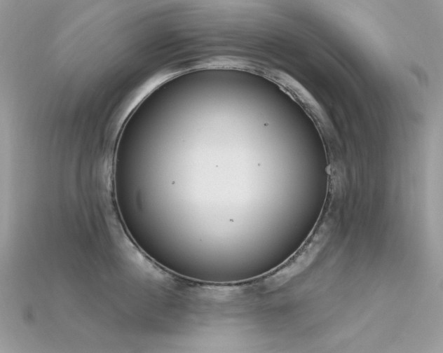 X0000115710860200911121424