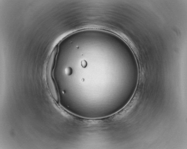 X0000115710862200911121424