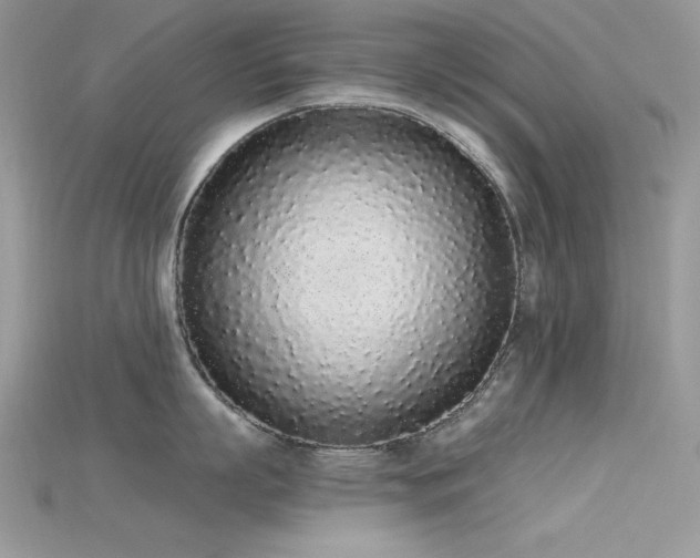 X0000115710863200911121424