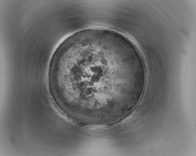 X0000115710864200911121424