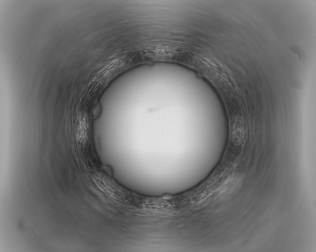 X0000115710866200911121423