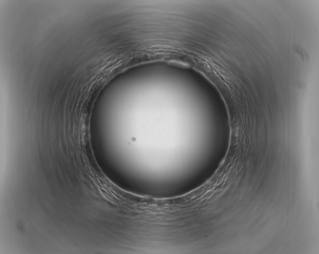 X0000115710868200911121423