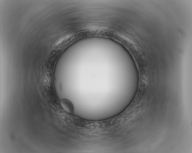 X0000115710869200911121423