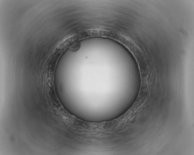 X0000115710870200911121423