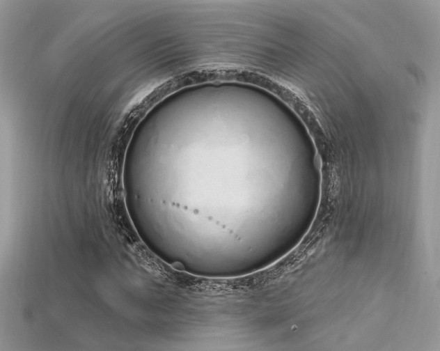 X0000115710871200911121423