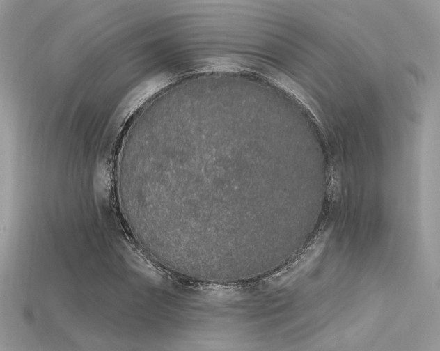 X0000115710874200911121423