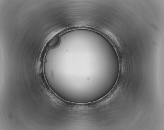 X0000115710876200911121423