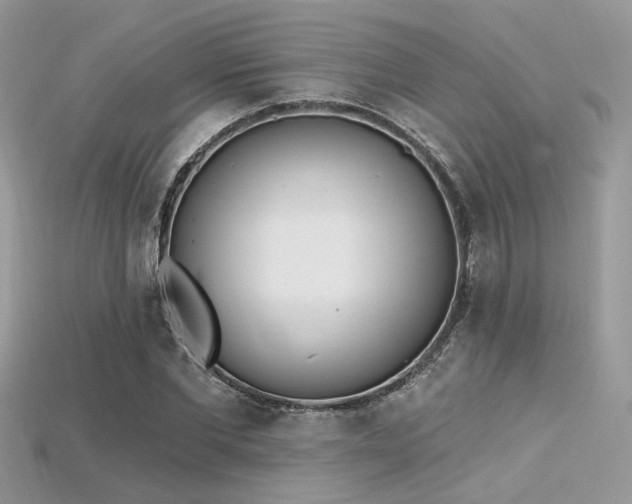 X0000115710877200911121423