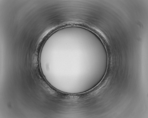 X0000115710878200911121423