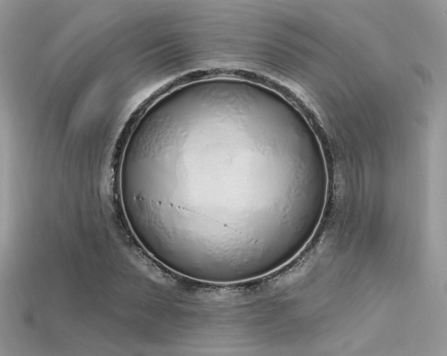 X0000115710879200911121423