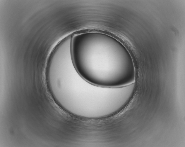 X0000115710880200911121423