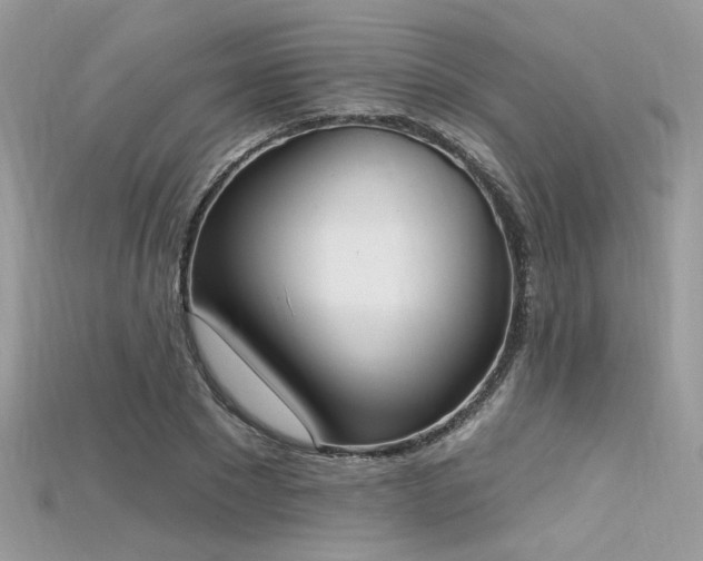 X0000115710881200911121423