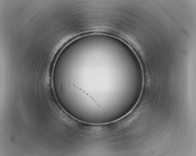 X0000115710883200911121423