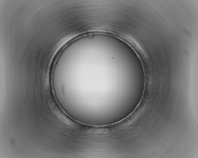 X0000115710884200911121423