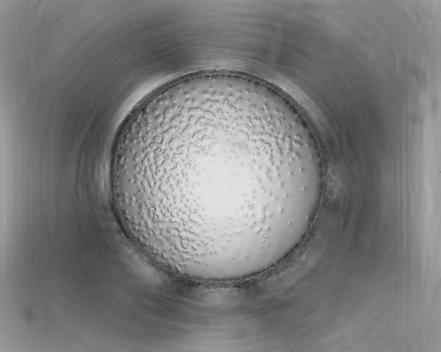 X0000115710886200911121423