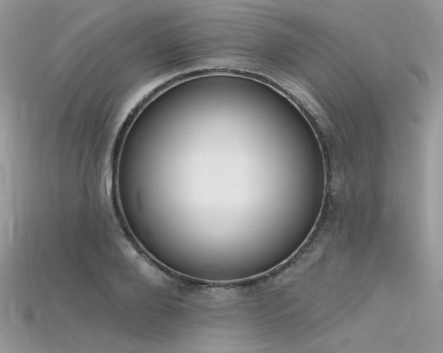 X0000115710888200911121423