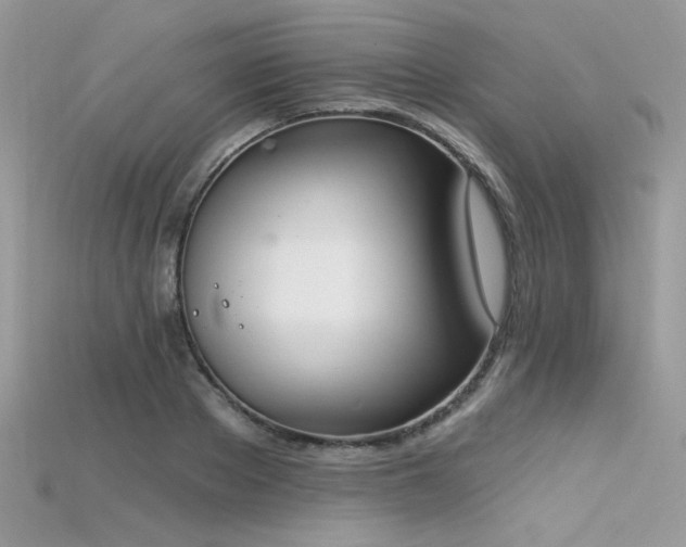 X0000115710889200911121423