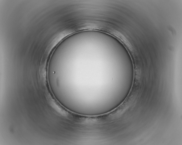 X0000115710890200911121423