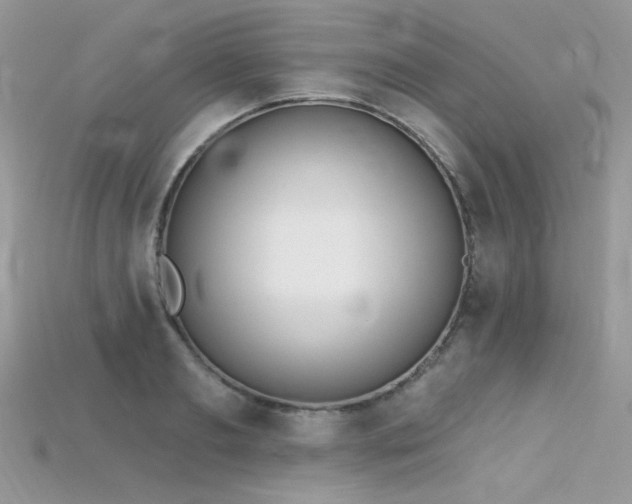 X0000115710893200911121423