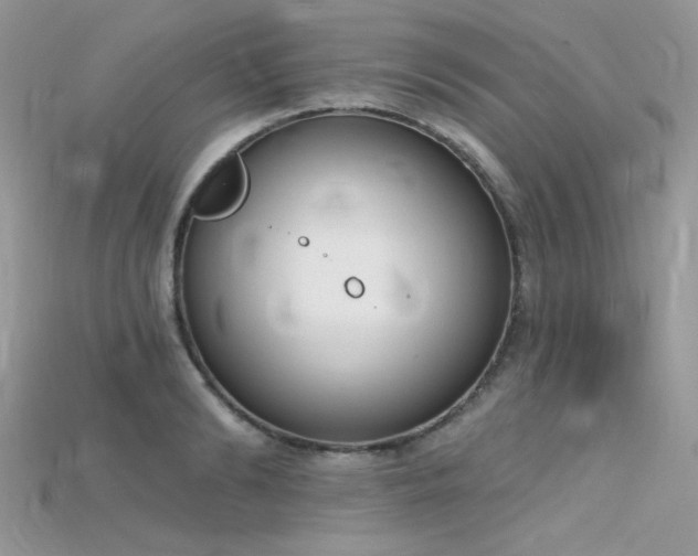 X0000115710894200911121423