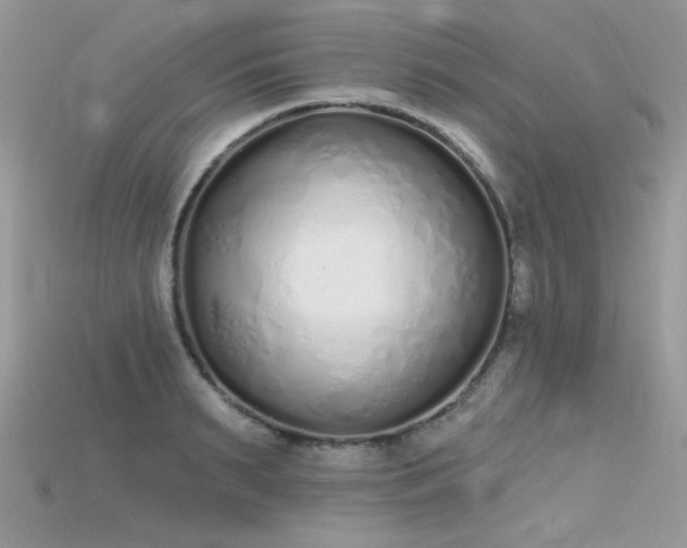 X0000115710895200911121423