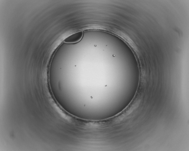 X0000115710898200911121423