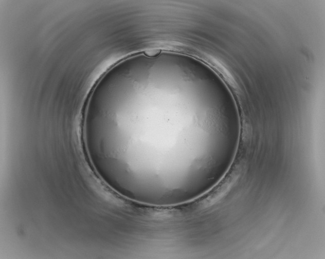 X0000115710899200911121423