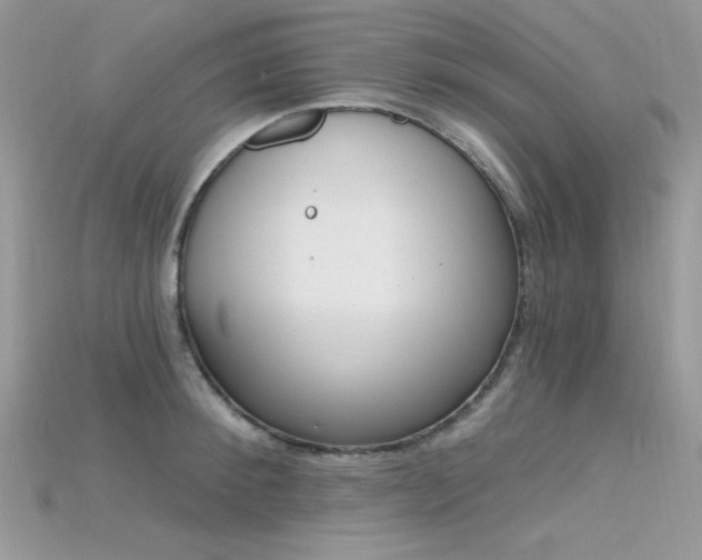 X0000115710900200911121423