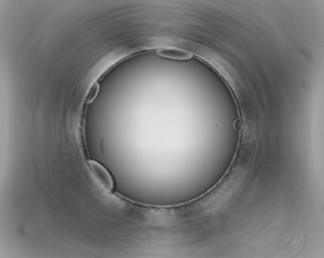 X0000115710901200911121423